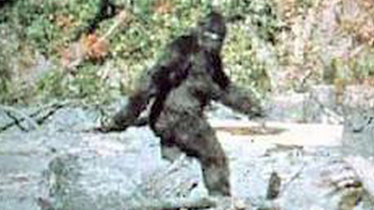 Bigfoot is Real